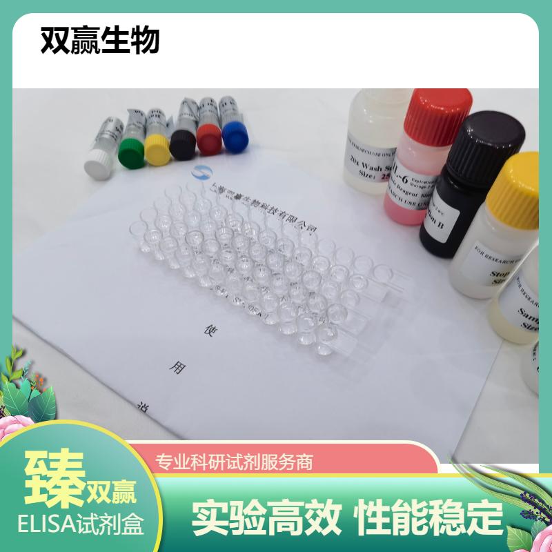 猪瘟病毒IgA抗体（CSFV-IgA）ELISA试剂盒