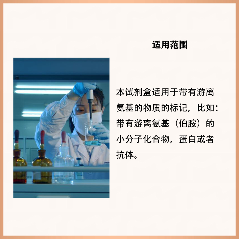 HRP快速标记试剂盒