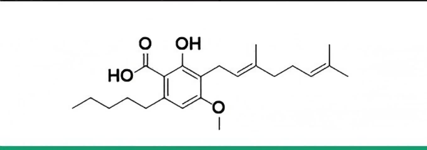大麻萜酚酸单甲醚