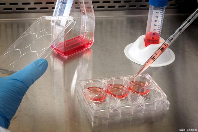 生物素快速标记试剂盒