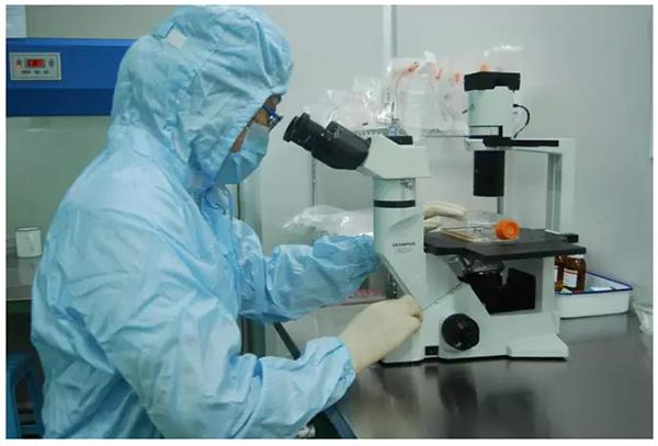 HABA法生物素标记效率检测试剂盒