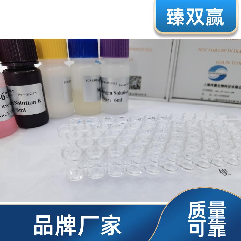 猪磷酸化腺苷酸活化蛋白激酶（AMPK）ELISA试剂盒