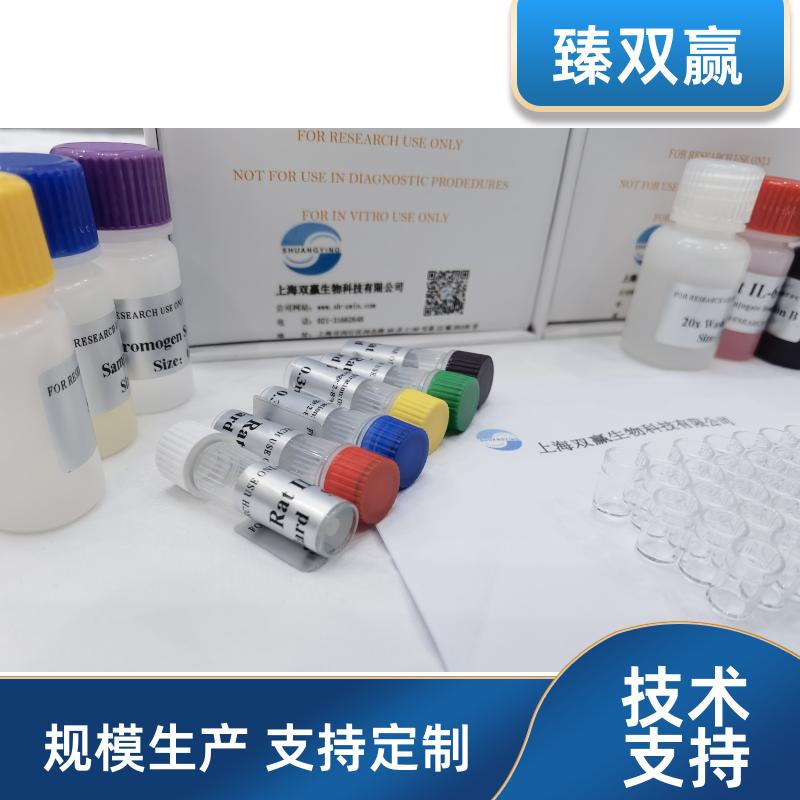 猪水泡病毒（SVDV ）ELISA试剂盒