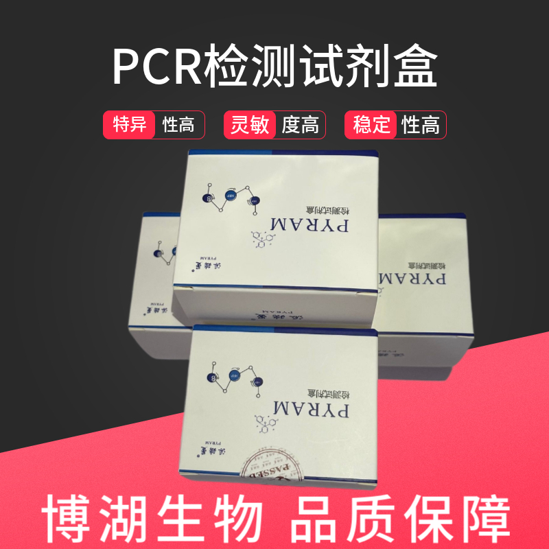 猫疱疹病毒探针法荧光定量PCR试剂盒