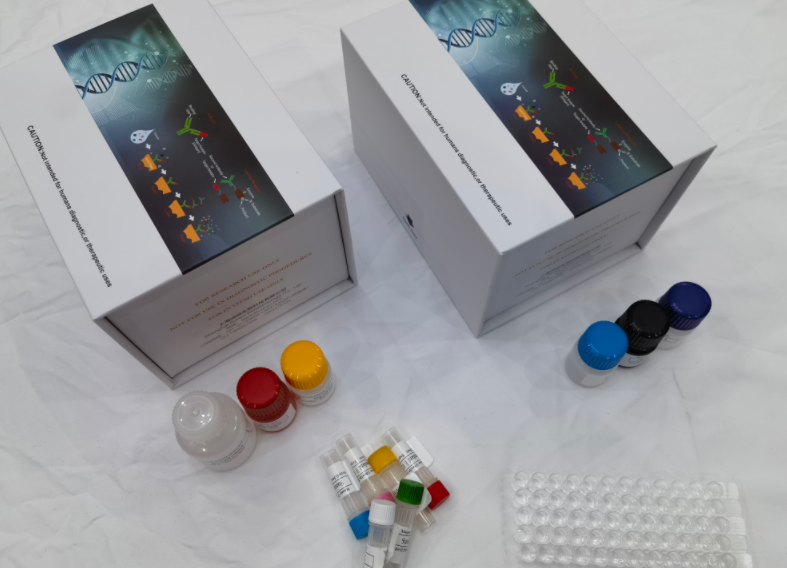 猪沉默调节蛋白1（SIRT1）ELISA试剂盒