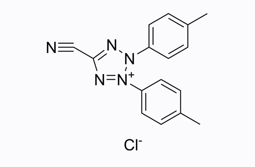 5-氰基-2,3-二(对甲苯基)氯化四氮唑；5-Cyano-2,3-ditolyl Tetrazolium Chloride；CTC