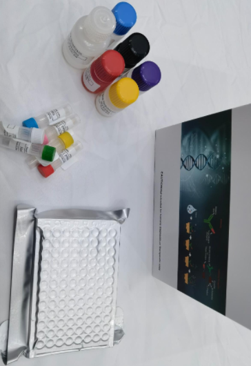 猪胰蛋白酶（trypsin）ELISA试剂盒