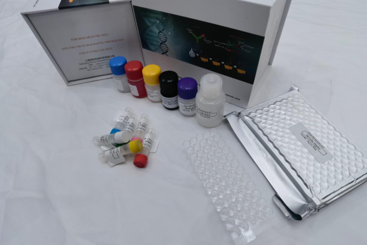猪白细胞介素5（IL-5）ELISA试剂盒