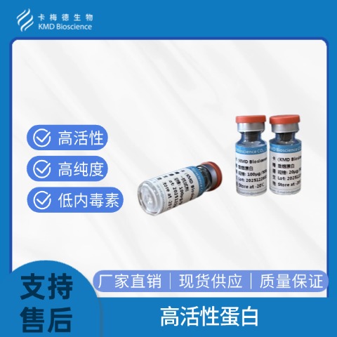 淋巴系统相关蛋白D3/LYPD3蛋白 靶点蛋白 纯度>90% 高活性 卡梅德生物