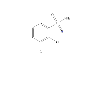 2,3-二氯苯磺酰胺