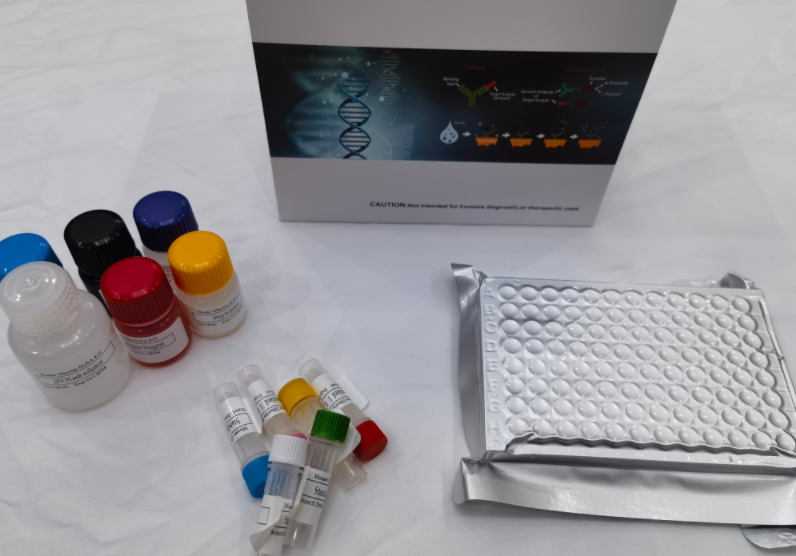 猪白细胞介素1β前体（pro-IL-1β）ELISA试剂盒