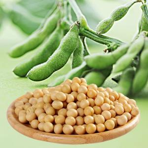 大豆甙元 大豆素 大豆黄酮 4’,7-二羟基异黄酮 黄豆苷元 大豆苷元