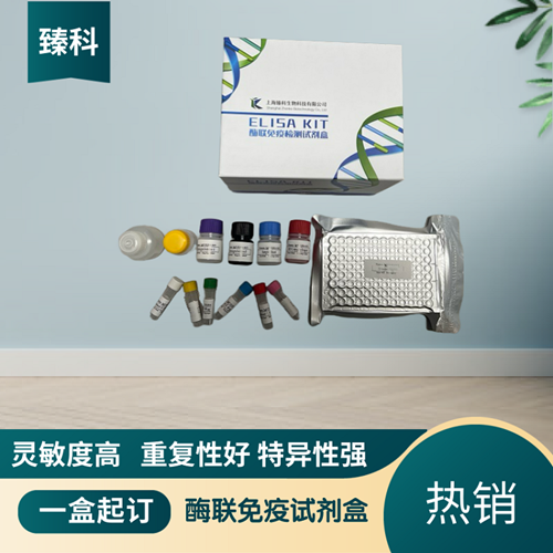 人促红细胞生成素(EPO）elisa试剂盒