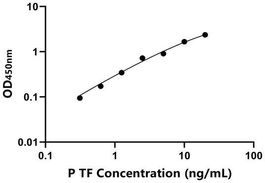 YJ31465.jpg YJ31465.jpg