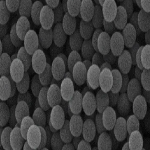 ps微球粉末20nm-200um，PS Microspheres Powder20nm-200um