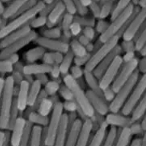银纳米棒，?Silver Nanorods，Ag Nanorods
