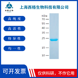 Recombinant Human PF4