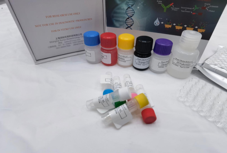 猪支原体（Mycoplasma）ELISA试剂盒