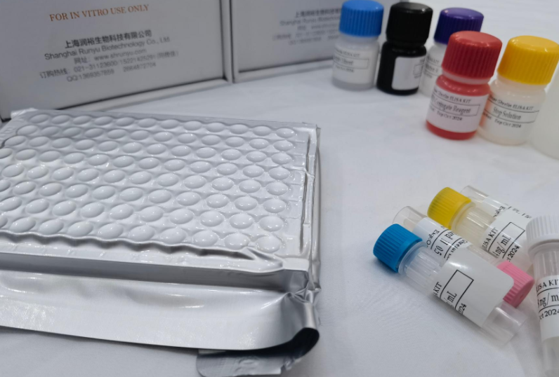 猪神经酰胺（ceramide）ELISA试剂盒