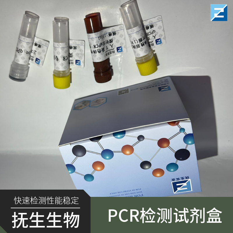 超级细菌(SB)NDM-1核酸检测试剂盒（荧光PCR法）