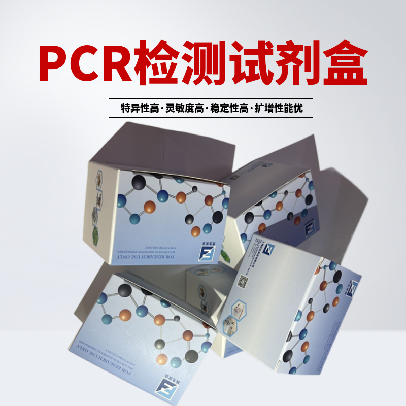 结核杆菌(TB)核酸检测试剂盒(荧光PCR法)