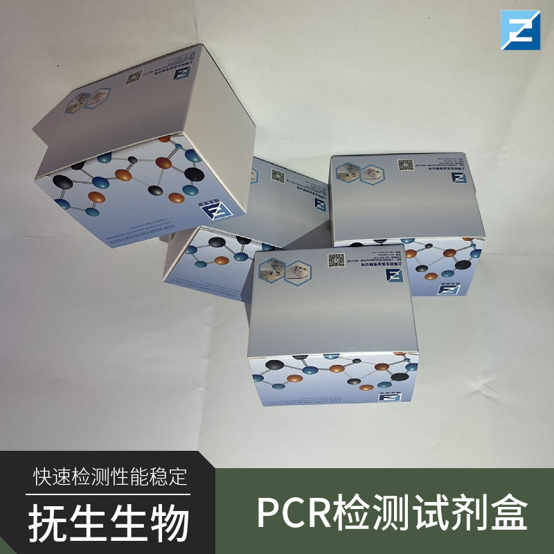 致病性大肠杆菌(EPEC)核酸检测试剂盒(荧光PCR法)