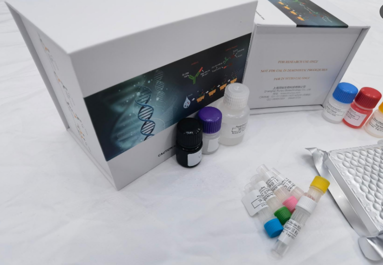 猪毒蕈碱型乙酰胆碱受体亚型M3（M-AChRM3）ELISA试剂盒