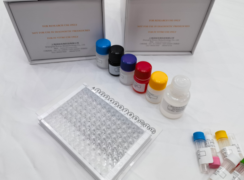 猪毒蕈碱型乙酰胆碱受体亚型M3（M-AChRM3）ELISA试剂盒