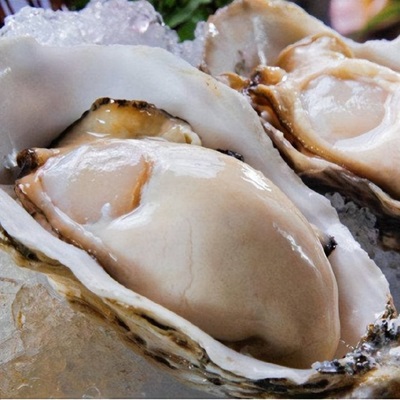 牡蛎提取物 生蚝提取物