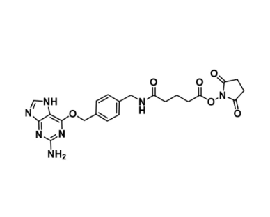 BG GLA NHS ester，O6-(4-戊二酰氨基甲基苄基)-鸟嘌呤-琥珀酰亚胺酯 