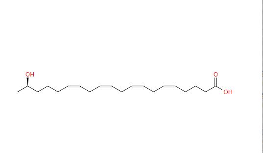 19(R)-HETE  115461-39-7