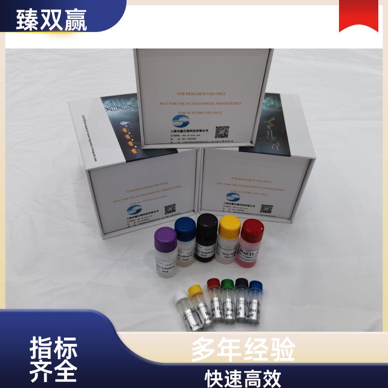 猪乙型脑炎病毒IgG抗体（JEV-IgG）ELISA试剂盒