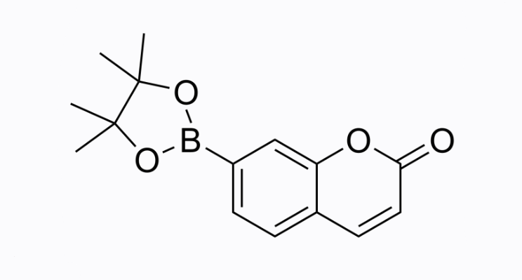 香豆素-7-频哪醇硼酸酯；Coumarin-7-pinacolboronate；CBE