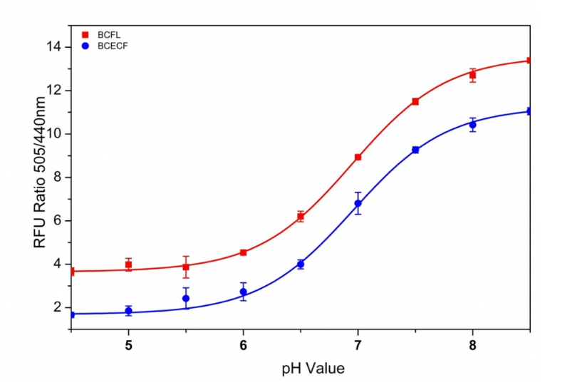 BCFL AM pH荧光探针；BCFL AM ester；BCFL Acetoxymethyl Ester
