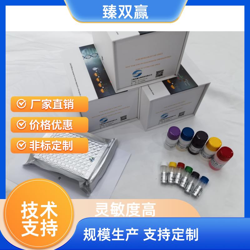 猪瘟病毒抗原（CSFV-Ag）ELISA试剂盒