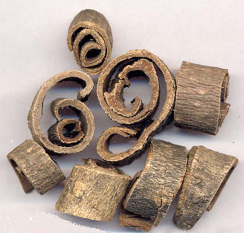 厚朴多酚，厚朴总酚，厚朴树皮