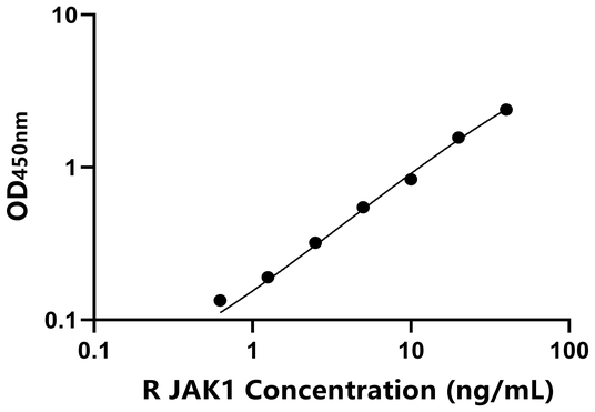 JAK1 ELISA KIT / 大鼠Janus激酶1 ELISA试剂盒