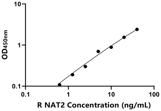 NAT2 ELISA KIT / 大鼠N-乙酰转移酶2 ELISA试剂盒