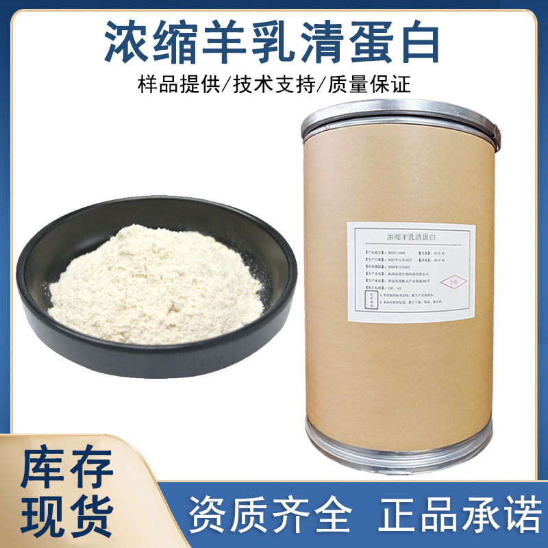 浓缩羊乳清蛋白厂家
