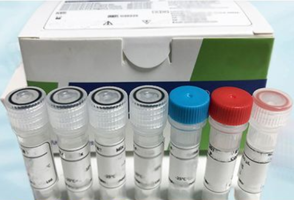 甲基转移酶（SAMT）