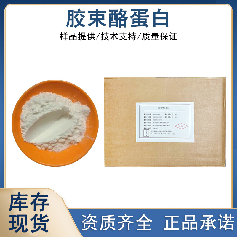 胶束酪蛋白厂家