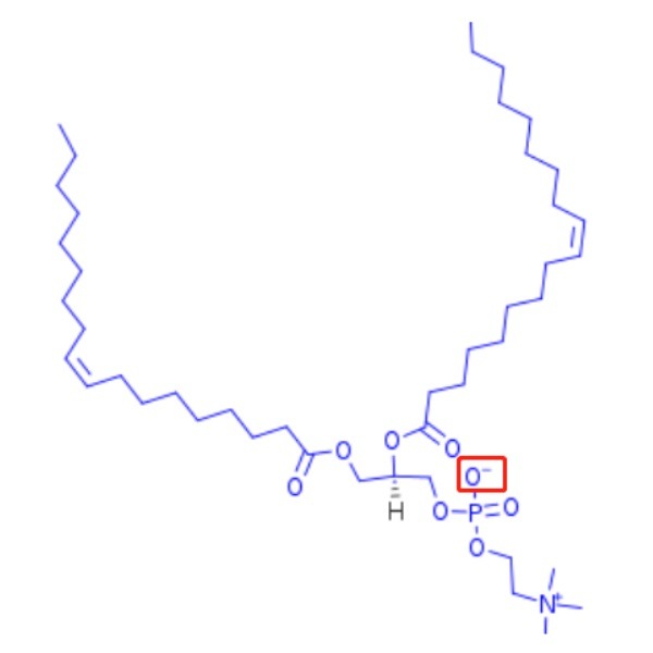 aladdin 阿拉丁 D130439 1,2-二乙酰基-sn-甘油-3-磷酸胆碱 56782-46-8 ≥93%