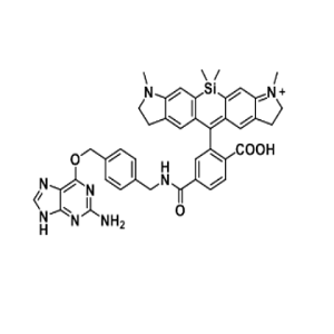 1971086-34-6，SiR700-BG，硅基罗丹明700-苄基鸟嘌呤