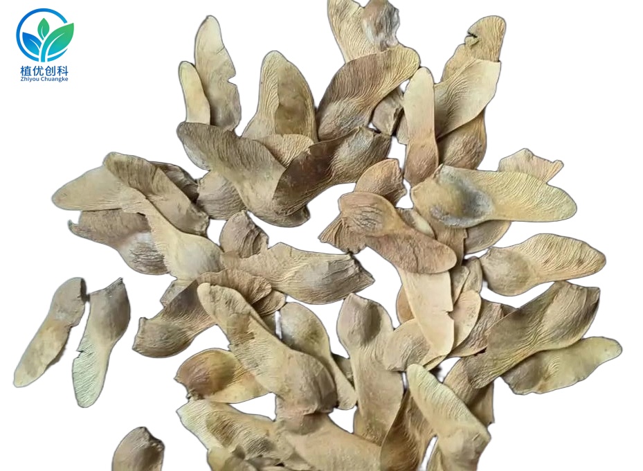 元宝枫提取物 神经酸 陕西植优