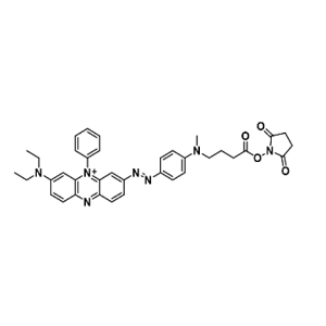 871240-94-7，BHQ-3 NHS，BHQ-3 活性酯