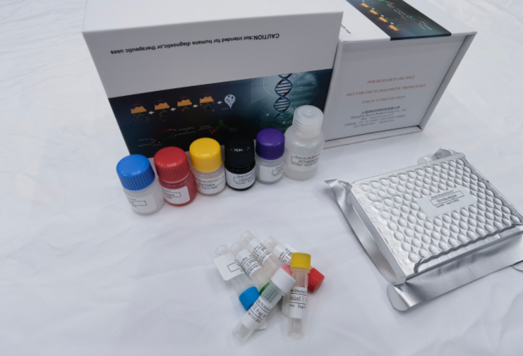 犬促卵泡素（FSH）elisa试剂盒