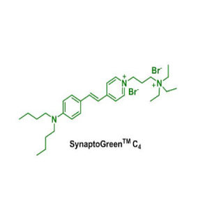 149838-22-2，NeurotransGreen C，FM 1-43膜电位荧光探针