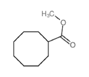 甲基环辛烷羧酸酯 3724-54-7
