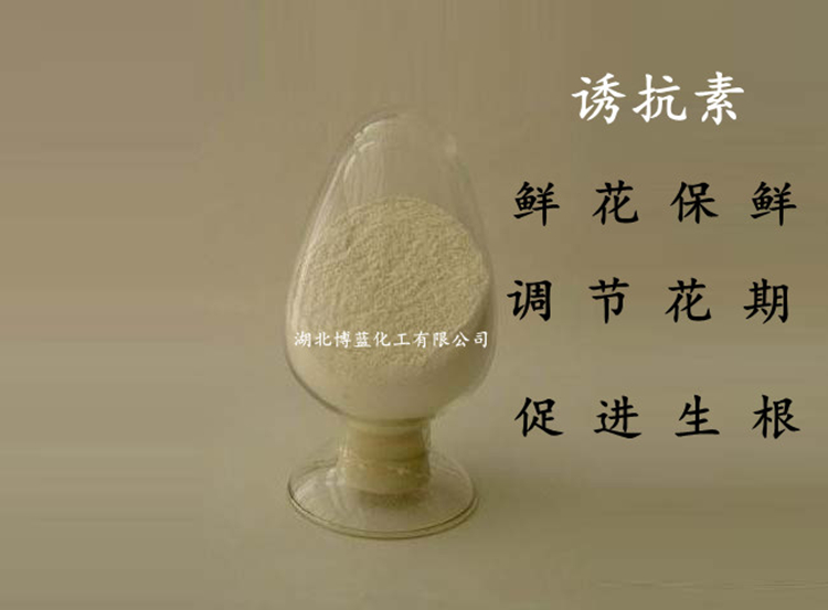 10%诱抗素可溶粉剂厂家