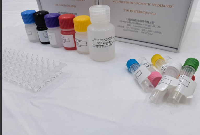 犬绒毛膜促性腺激素（HCG）elisa试剂盒